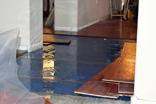 Professional Water Damage Restoration technician working in Myra, TX